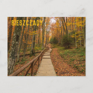 Weg durch den Herbstwald. Postkarte