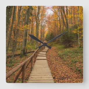 Weg durch den Herbstwald. Quadratische Wanduhr