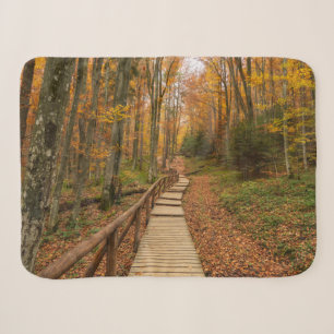 Weg durch den Herbstwald. Sherpadecke