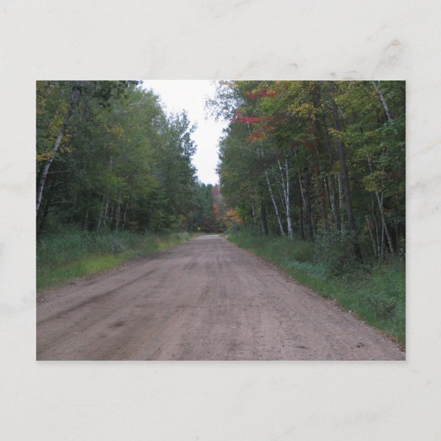 Weg durch den Wald Postkarte (Vorderseite)