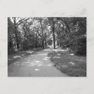 Weg durch den Wald Postkarte