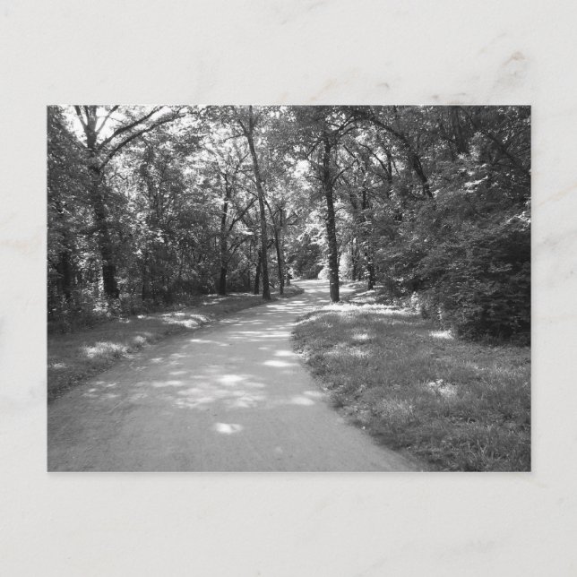 Weg durch den Wald Postkarte (Vorderseite)