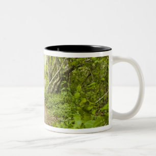 Weg durch den Wald Zweifarbige Tasse