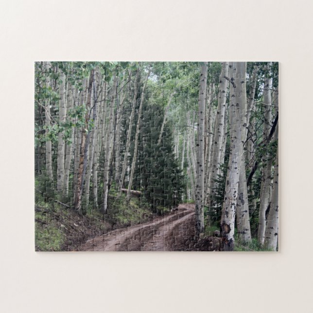 Weg durch die Birke Puzzle (Horizontal)