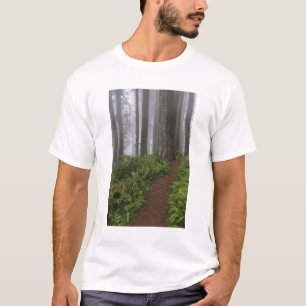 Weg durch die riesigen Mammutbäume gehüllt T-Shirt