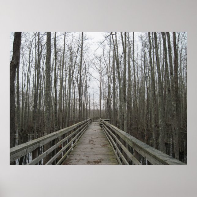 Weg durch die Wildnis Poster (Vorne)