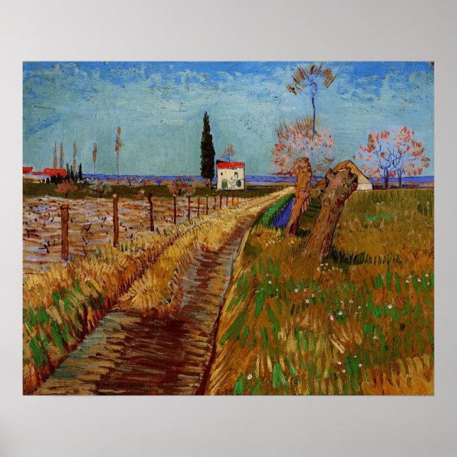 Weg durch ein Feld, Willows von Vincent van Gogh Poster (Vorne)