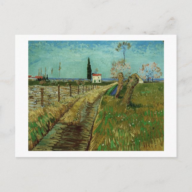 Weg durch Feld mit Willows Van Gogh Fine Art Postkarte (Vorderseite)
