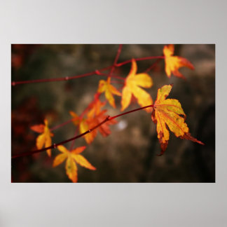 Weg Herbst Poster Print