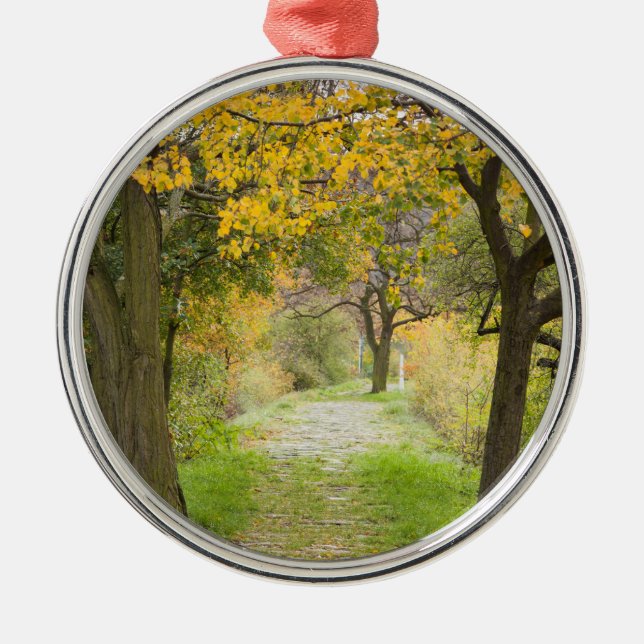 Weg im Herbst Ornament Aus Metall (Vorne)