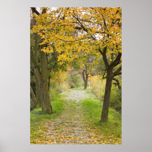 Weg im Herbst Poster