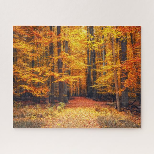 Weg im Herbstpark Puzzle (Horizontal)