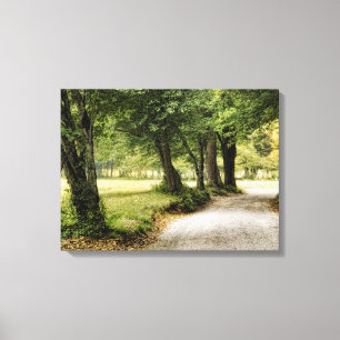 Weg im Land Leinwanddruck