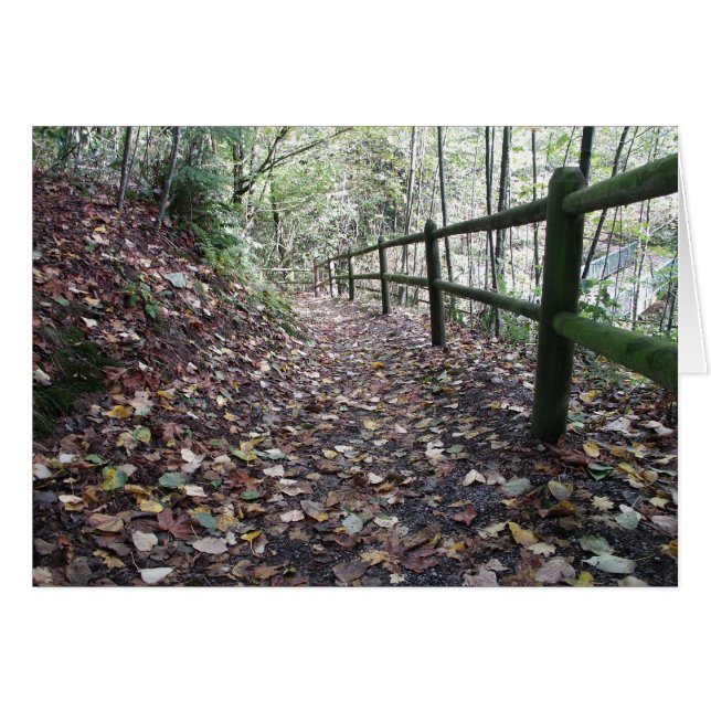 Weg im Park (Vorderseite (Horizontal))