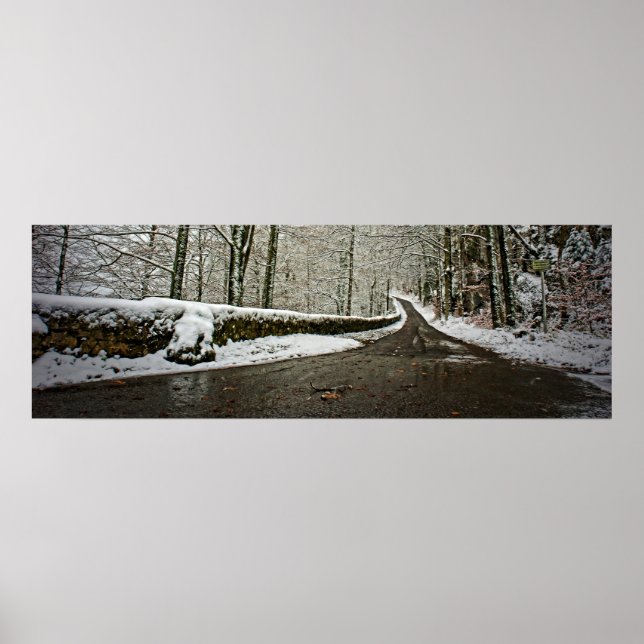 Weg in die Zukunft - Poster 36x12 (Vorne)