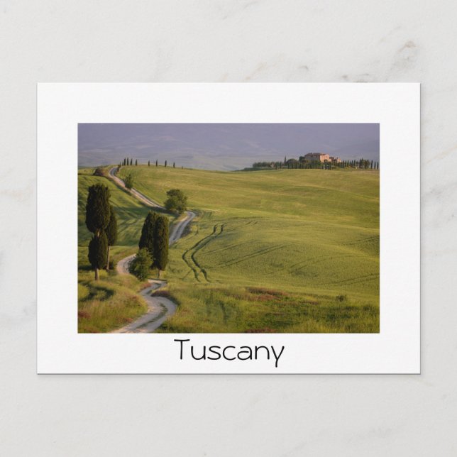 Weg nach Terrapille in der Toskana, weißer Text Po Postkarte (Vorderseite)