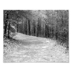 Weg weniger gereistes B&W Fotodruck