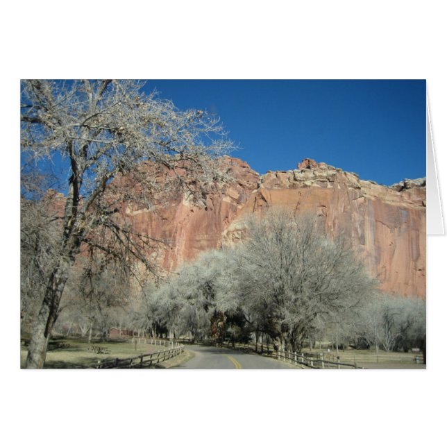 Weg zu den Gärten (Vorderseite (Horizontal))