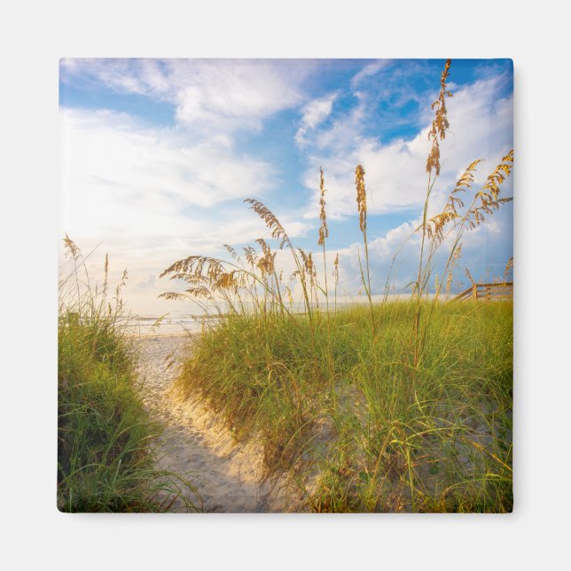 Weg zum Strand Magnet (Vorne)