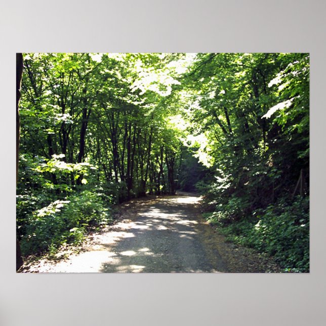 Weg zur Unendlichkeit Poster (Vorne)