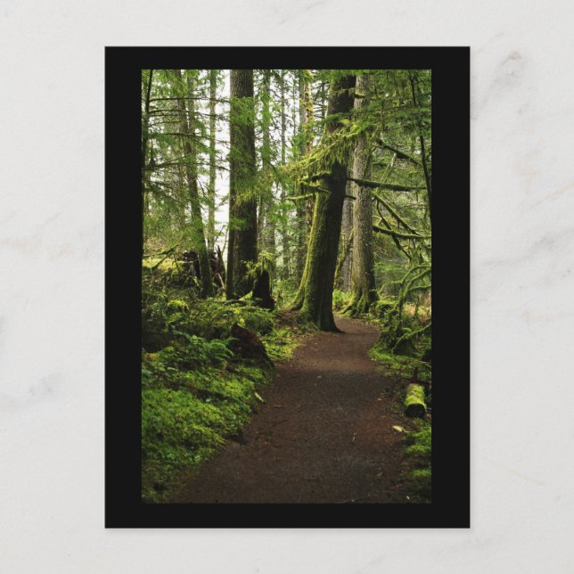 Weg zwischen Giganten Postkarte (Vorderseite)