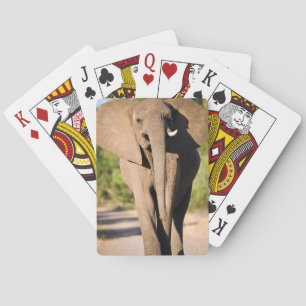 Wege eines afrikanischen Elefant-(Loxodonta Spielkarten