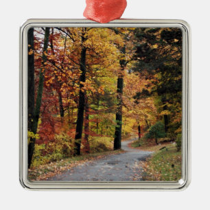 Wege Ornament Aus Metall