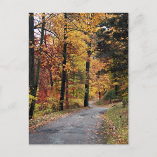 Wege Postkarte