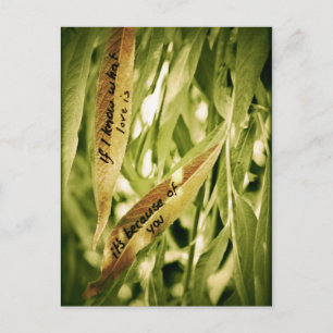 Wegen Ihnen (Liebe) Postkarte