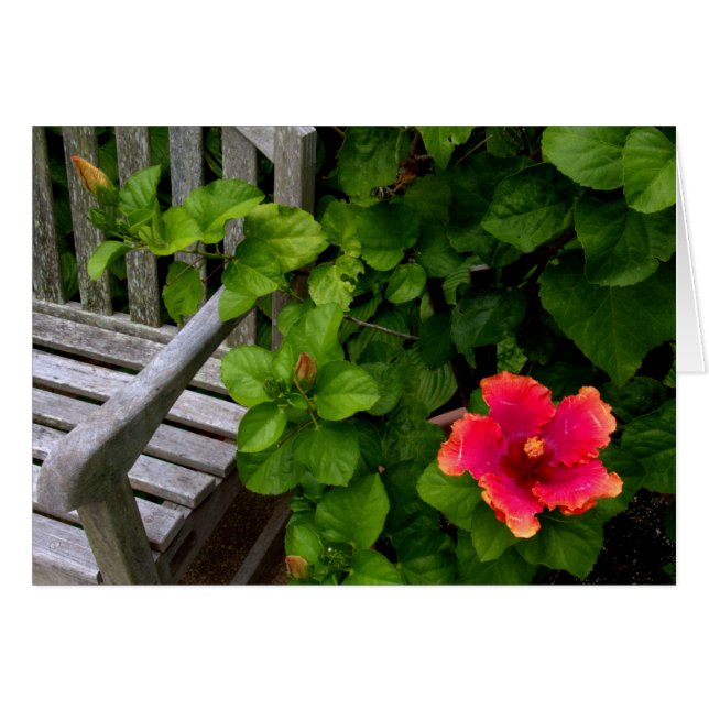 Wegerzyn Garden Centre #30 (Vorderseite (Horizontal))