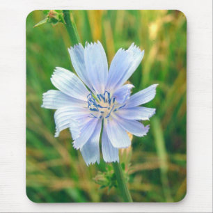 Wegwarte Blume Mousepad