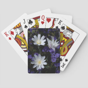 Wegwarte- und Büschelschön-Wildblumen Spielkarten