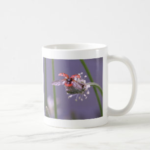 WegZuhause der Fliege Kaffeetasse