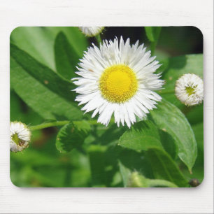 Weh der weißen Blume Mousepad