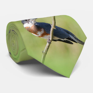 Weiblich gezogener Kingfisher Ausgesteift an der L Krawatte