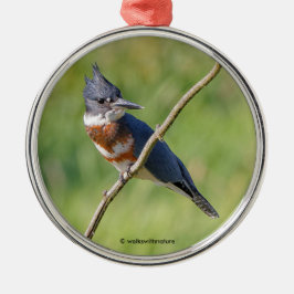 Weiblich gezogener Kingfisher Ausgesteift an der L Ornament Aus Metall