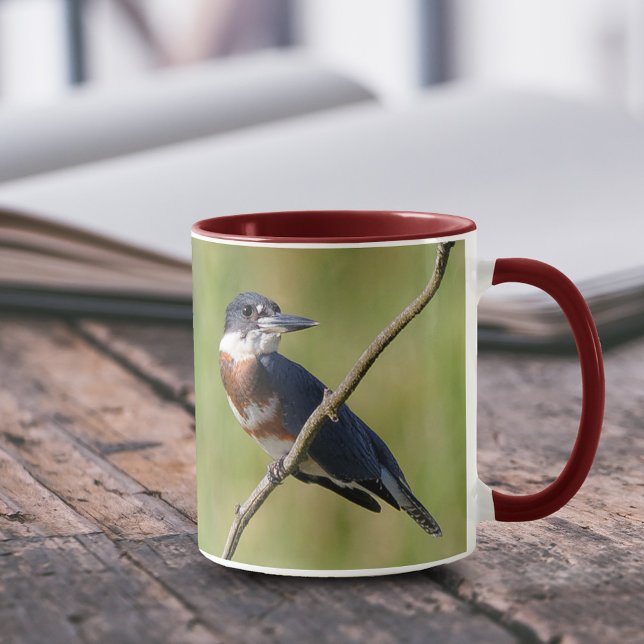 Weiblich gezogener Kingfisher Ausgesteift an der L Tasse (Femaled Belted Kingfisher on a Branch 11 oz Coffee Mug Cover Photo.)