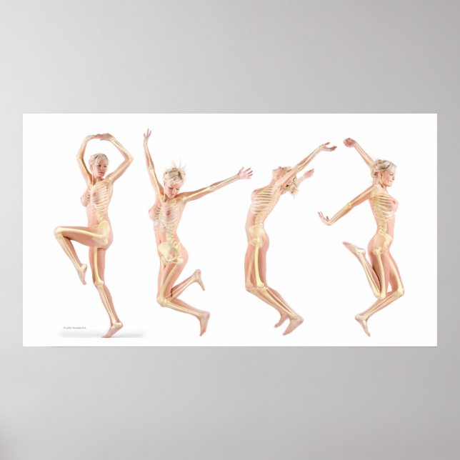 weibliche Anatomie Poster (Vorne)