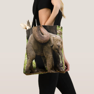 Weibliche asiatischer Elefant-Mutter, die ihr Baby