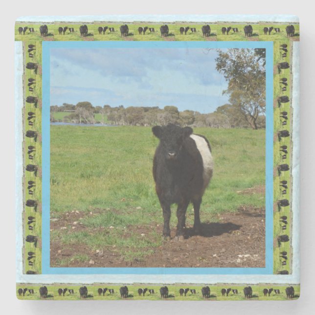 weibliche Galloway-Kuh, Steinuntersetzer (Vorderseite)