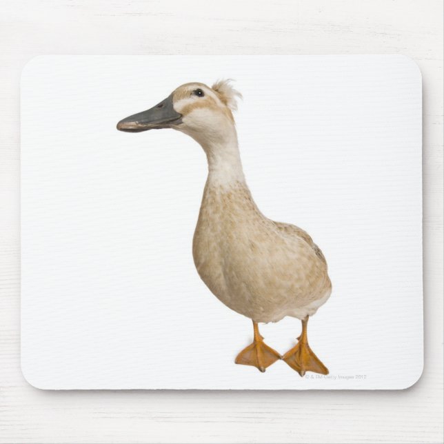 Weibliche Großente, 3 Jahre alt Mousepad (Vorne)