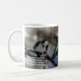 Weibliche Hummingbird in Pflaume Kaffeetasse