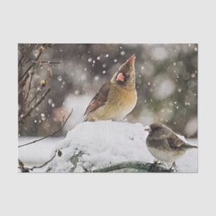 Weibliche Kardinal Vogelwelt Schnee Winter Seidenpapier
