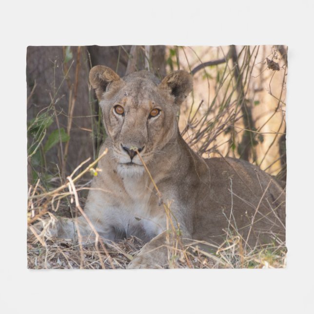 Weibliche Lion Blanket Fleecedecke (Vorderseite (Horizontal))