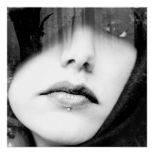 Weibliche Lippenweibchen