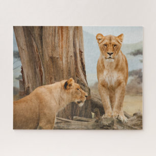 Weibliche Löwen, die bei Toten Bäumen schlummern Puzzle