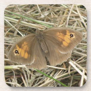 Weibliche Meadow Brown Butterfly Cork Untersetzer