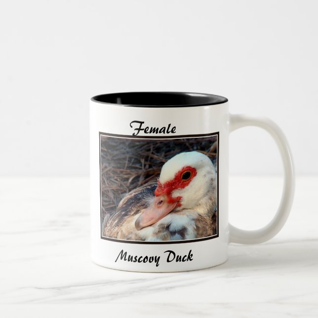 Weibliche Muscovy-Ente Zweifarbige Tasse (Rechts)