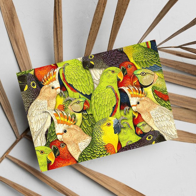 Weibliche Natur Grüne Papageien Vogelmuster Postkarte (Whimsical Nature Green Parrots Birds Pattern)