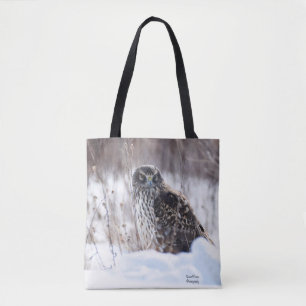Weibliche Northern Harrier